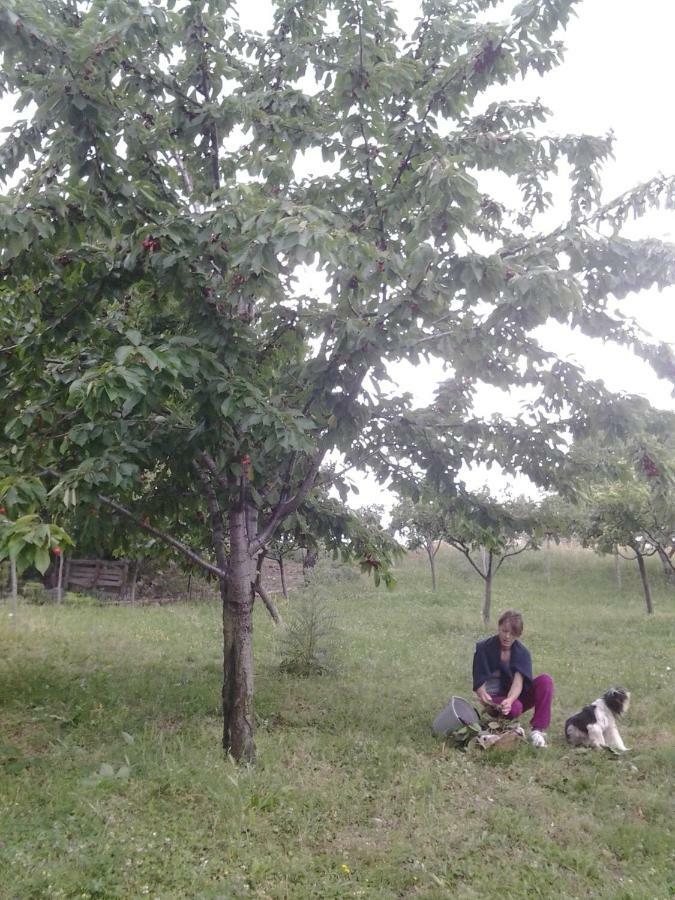 Agriturismo Persichitti Torricella Peligna Bagian luar foto